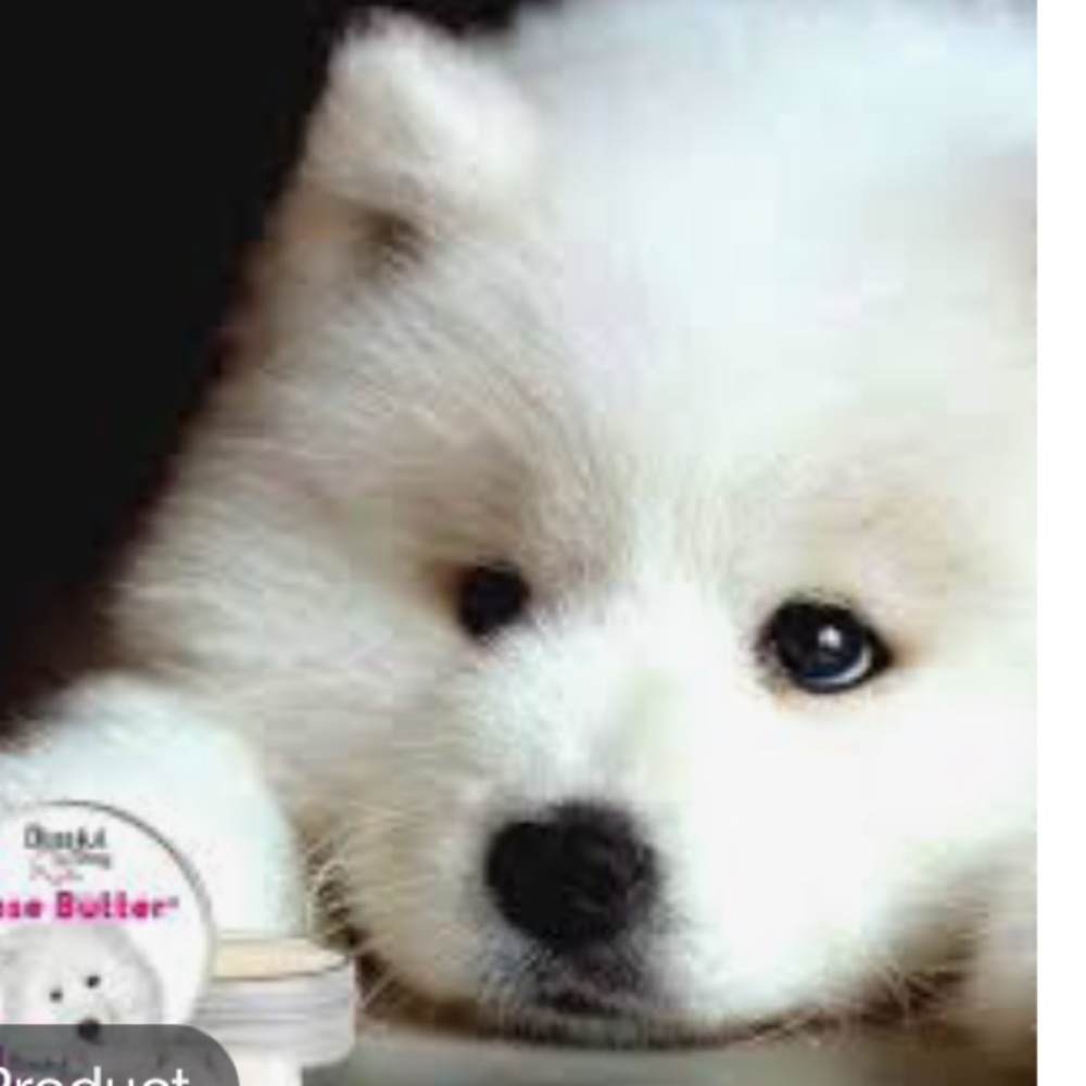 Meet your Posher, Crystal